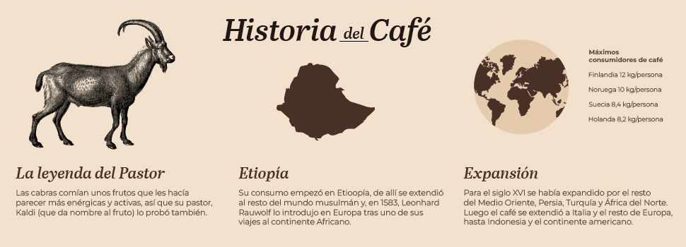 historia del cafe cafes el criollo