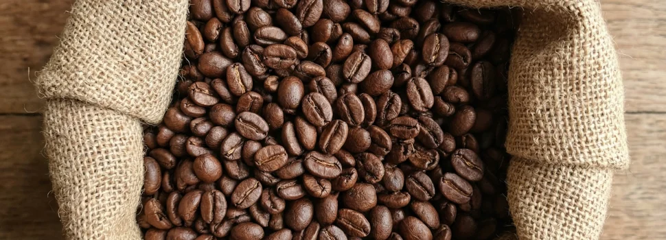 cafe de especialidad en grano cafe de especialidad en grano