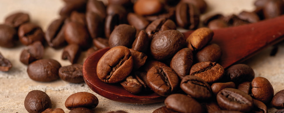 grano café arábica