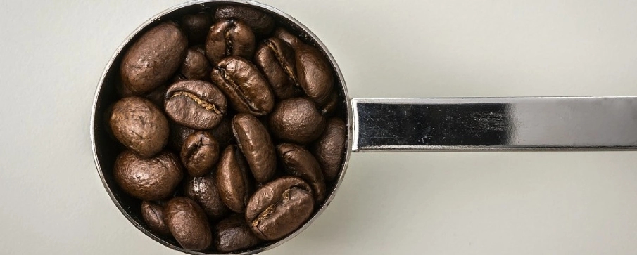 arábica vs robusta