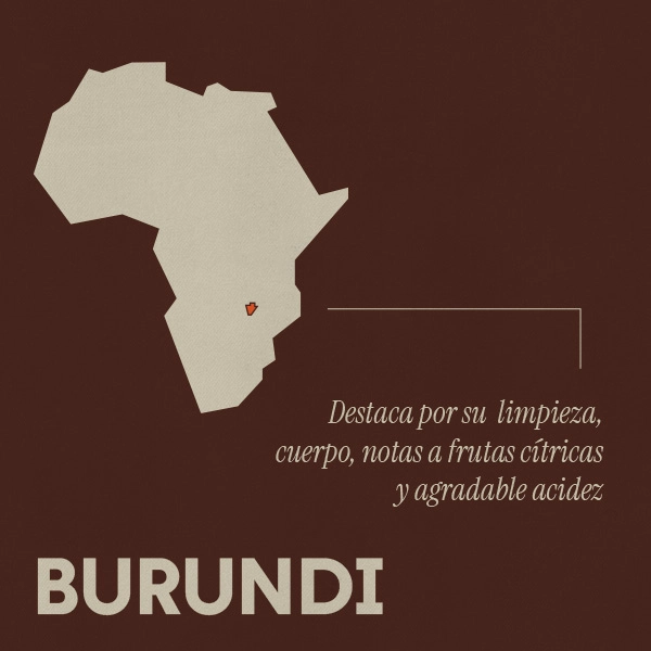 Café Burundi 'Nyamugari' 3 café especialidad burundi