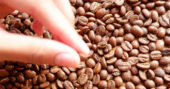 Cafe en grano beneficios