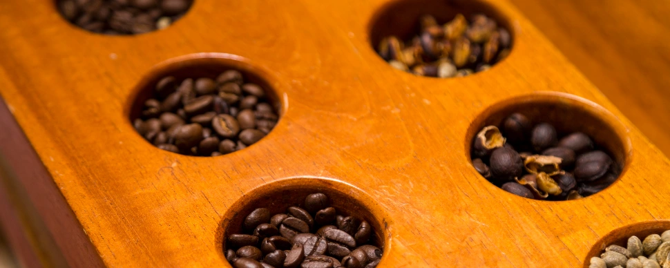 ¿Está prohibido el café torrefacto en Europa? Mitos, verdades y confusiones 1 Cafe torrefacto