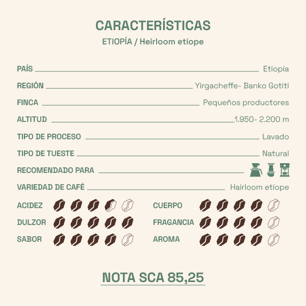 Café Etiopía ‘Yirgacheffe’ 2 Caracteristicas del Café Etiopía ‘Yirgacheffe’