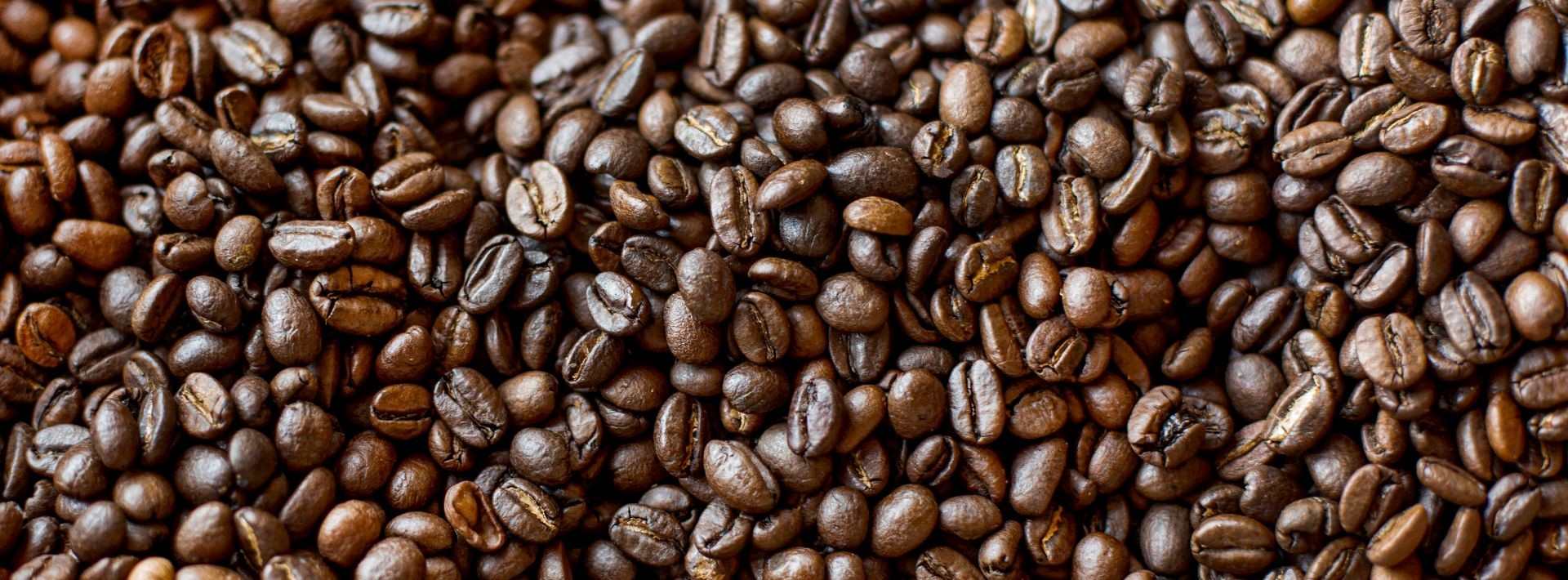 café en grano de especialidad café en grano de especialidad